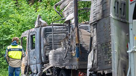 Auch ein Anschlag auf Polizeifahrzeuge z&auml;hlt zu der mutma&szlig;lichen Serie - der 32-J&auml;hrige gilt hier aber nicht als Beschuldigter. (Archivfoto)