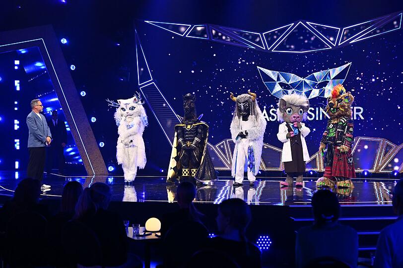 Matthias Opdenhövel (links) präsentierte die Finalisten: Yeti Cat, P. S., Fernando El Toro, Prof. Dr. Dr. Schweinstein und Wild Thing (von links). Matthias Opdenhövel (links) präsentierte die Finalisten: Yeti Cat, P. S., Fernando El Toro, Prof. Dr. Dr. Schweinstein und Wild Thing (von links).