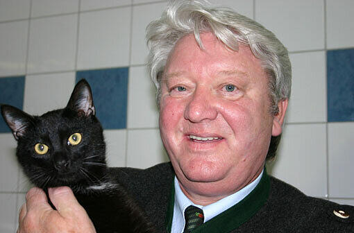 Unsere Einnahmen haben sich schleichend halbiert&ldquo;: Kurt Perlinger, der Vorstandschef des Tierschutzvereins, mit einer Katze.