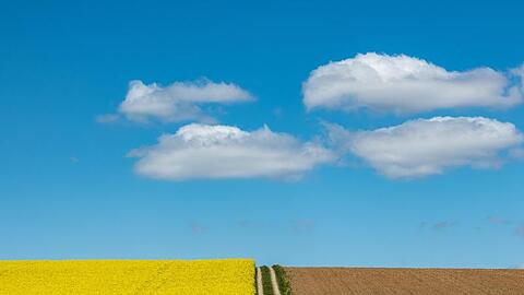 Wolken ziehen über ein blühendes Rapsfeld. Foto: Armin Weigel/dpa/Archivbild