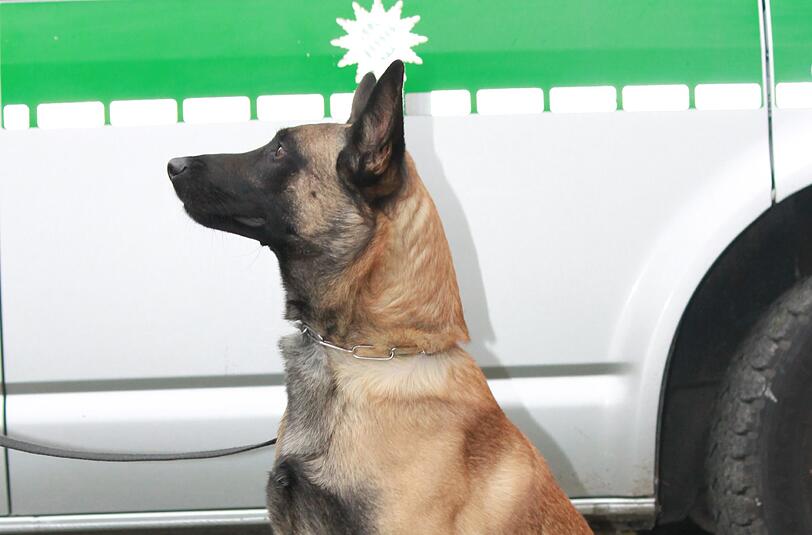 Polizeihund (Archivbild).