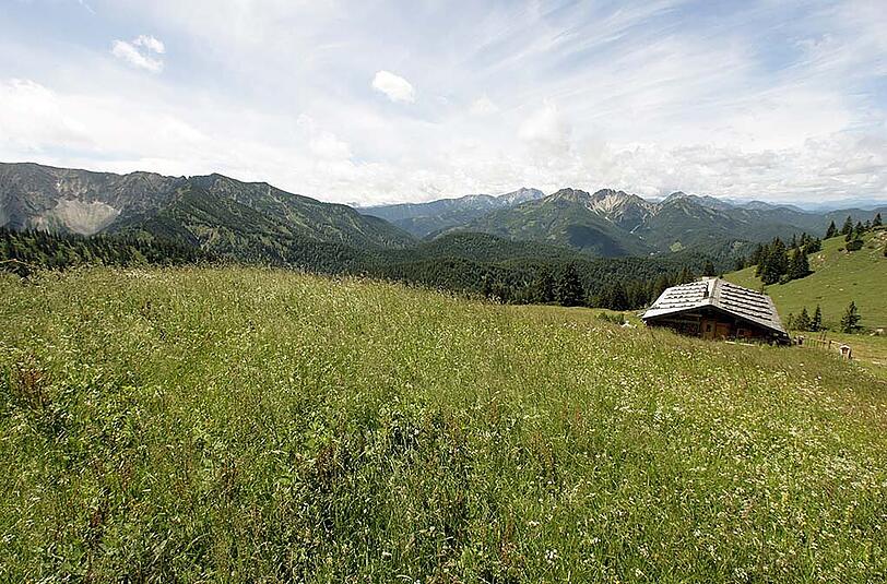 Im Spitzingsee-Gebiet belästigte ein Mann drei 14-jährige Mädchen und onanierte vor ihnen - gleich zwei Mal!