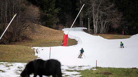Ohne Kunstschnee h&auml;tte es der Skisport schwer, sagen Branchenvertreter.