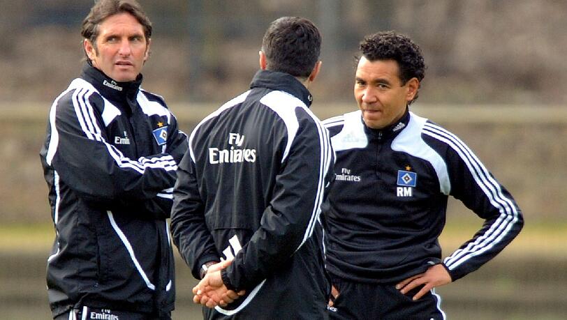 Er kam als Assistent von Martin Jol zum Hamburger Sportverein. Als dessen Nachfolger Bruno Labbadia entlassen wurde, war er von 27.4.2010 bis zum 30.6.2010 Cheftrainer beim HSV.