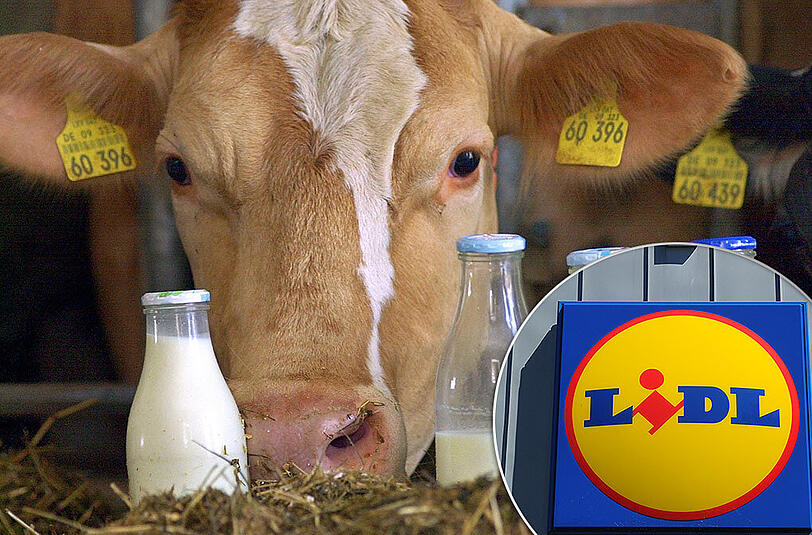 Lidl will den Einkaufspreis für Milch nicht weiter senken.
