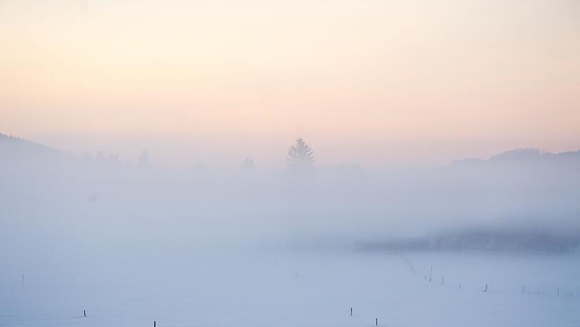 Nebelschwaden ziehen über eine schneebedeckte Wiese.