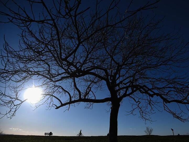 Die Sonne scheint durch Äste eines Baumes. Foto: Nicolas Armer/dpa/Archivbild