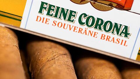 Zigarren im Format "Feine Corona" liegen in einer Schachtel in einem Tabakgeschäft.
