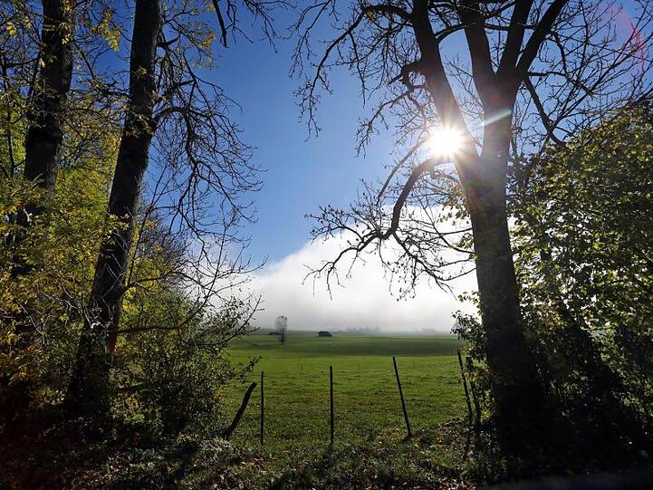 Nebel lichtet sich im Sonnenschein. Foto: Karl-Josef Hildenbrand/dpa