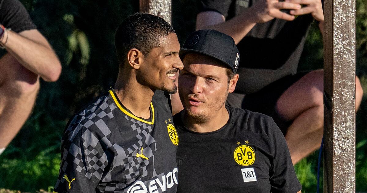 Fraglich Haller vor BVB-Bundesliga-Debüt - Einsatz von Reus fraglich ...