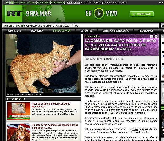 "La odisea del gato Poldi": So sieht die Meldung auf Spanisch aus.
