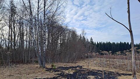 Der ukrainische Abwehrkampf gegen Russland zieht die baltischen Staaten in Mitleidenschaft.