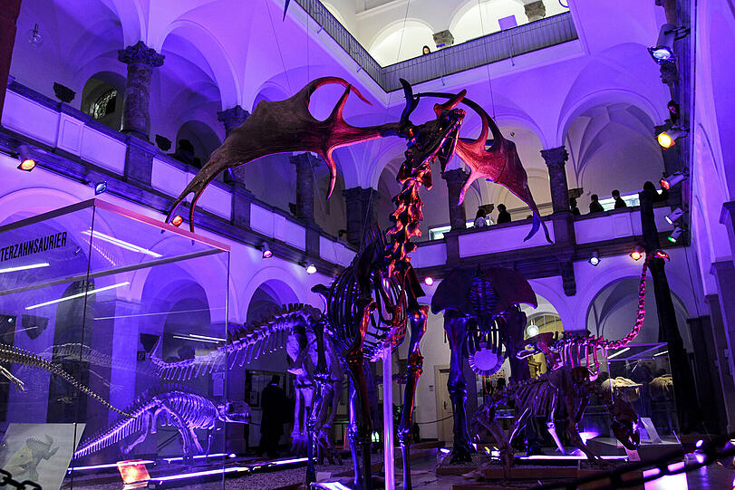 Einem Dino ganz nah sein? Die Lange Nacht im Palaeontologischen Museum machts möglich.