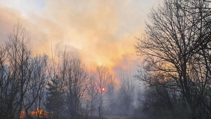Rauchschwaden steigen von einem Waldbrand in der radioaktiv belasteten Sperrzone um das Kernkraftwerk Tschernobyl auf. Rauchschwaden steigen von einem Waldbrand in der radioaktiv belasteten Sperrzone um das Kernkraftwerk Tschernobyl auf.