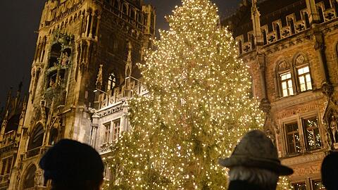 Auch dieses Jahr steht wieder ein Christbaum auf dem Marienplatz - er wird am 3. November aufgestellt. (Archivbild)