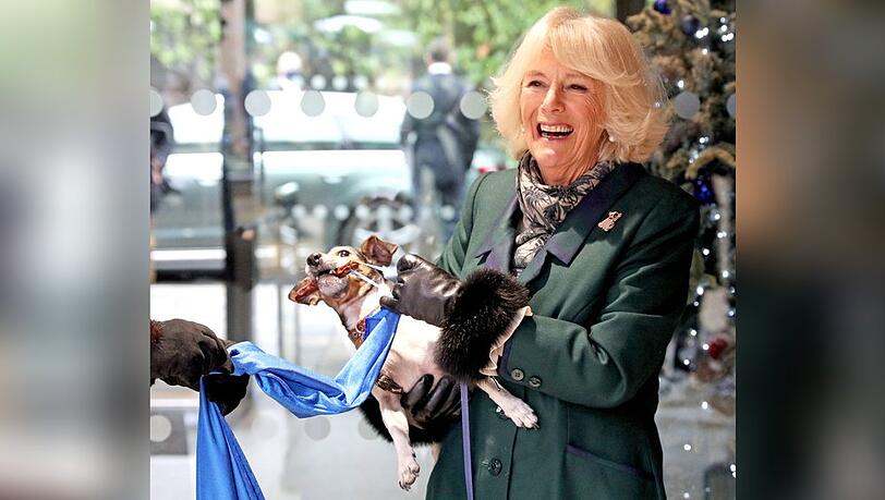 Königin Camilla 2020 mit ihrer Hündin Beth.