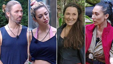 Wer z&auml;hlt im Dschungelcamp 2026 zu den Gewinnern und Verlierern?