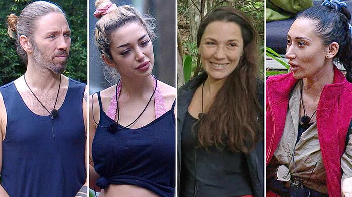 Wer z&auml;hlt im Dschungelcamp 2026 zu den Gewinnern und Verlierern?