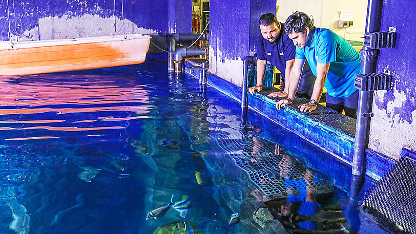 38 Becken gibt es im Sealife &ndash; alle werden täglich kontrolliert.
