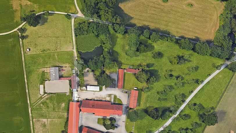 Aus der Vogelperspektive sieht man: Der Weiher wuchert immer weiter zu.