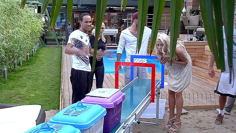Alle Bilder aus dem Container: Promi-Big-Brother 2013