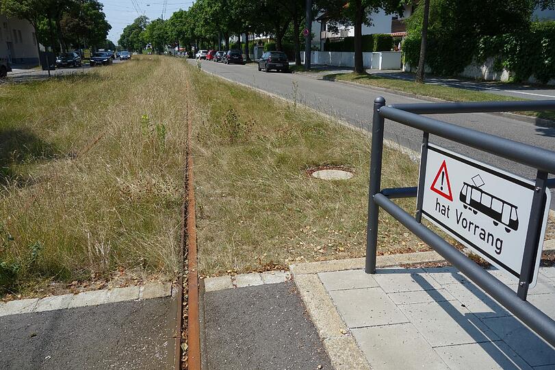Gras überwuchert die Trambahngleise westlich des Willibaldplatzes in Laim.