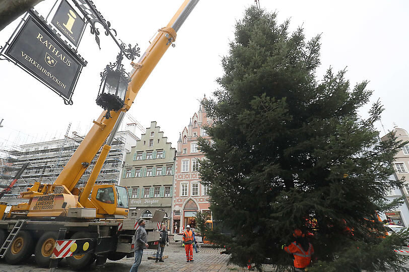 Der Kran hebt den Baum vom Laster direkt vor das Rathaus.
