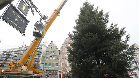 Der Kran hebt den Baum vom Laster direkt vor das Rathaus.