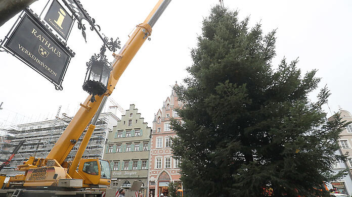 Der Kran hebt den Baum vom Laster direkt vor das Rathaus.