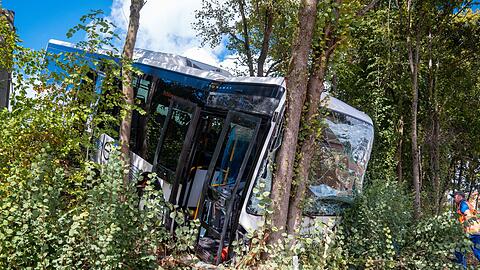 Der Bus kam nach dem Unfall erst im Gebüsch an einer steilen Böschung zum Stehen.